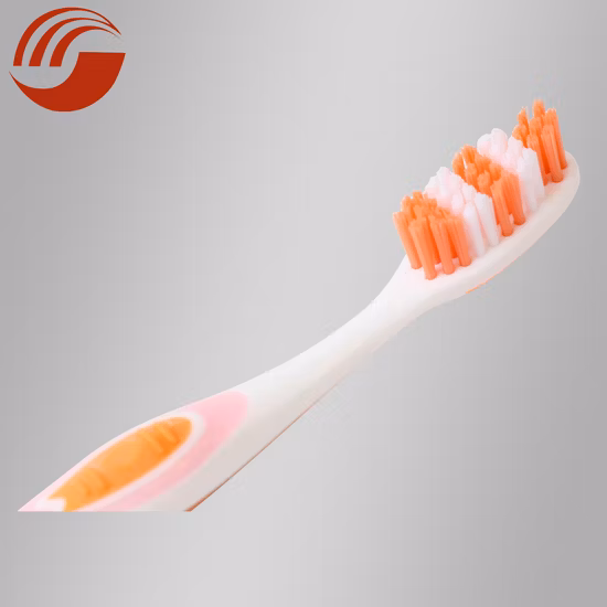 Soins bucco-dentaires personnels uniques personnalisés en PP/nylon pour adultes/enfants, soins buccodentaires de voyage et de ménage